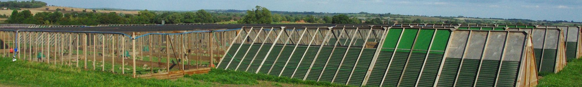 Heart of England Farms - Breeders of Quality Game Stock