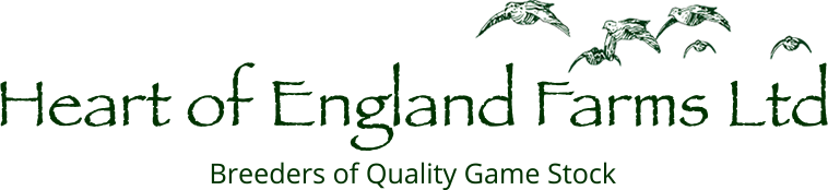 Heart of England Farms - Breeders of Quality Game Stock